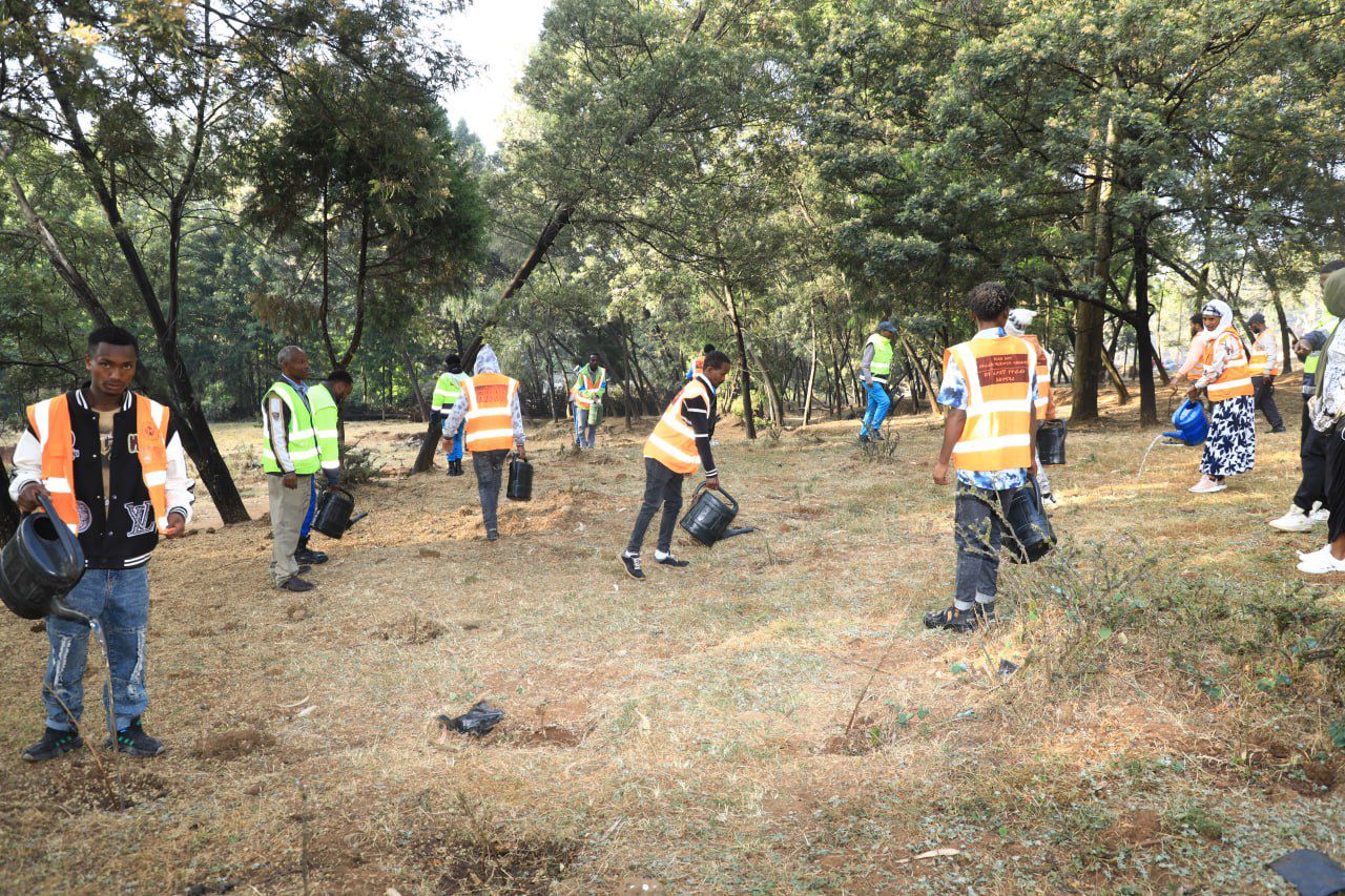 604620806_1352781993559476_243981982521225050_n